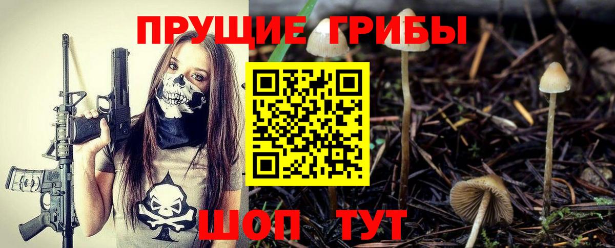 Можга  Галлюциногенные грибы Magic Shrooms  Вход с VPN 